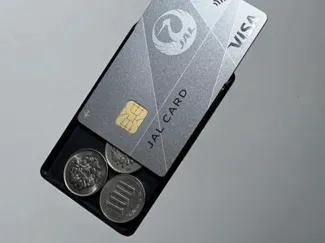 coin sleeve ver2 -ultra thin coin wallet- zenius