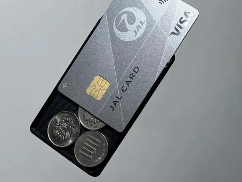 coin sleeve ver2 -ultra thin coin wallet- zenius