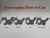 Norwegian flexi