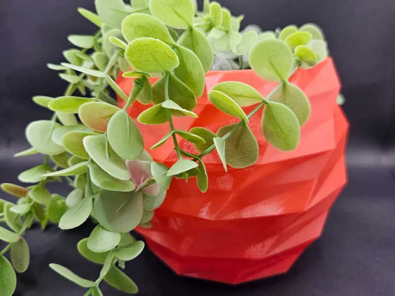 Funky Planter