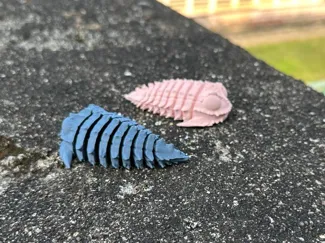 Spiked Trilobite Articulated