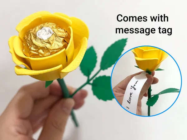 https://makerworld.bblmw.com/makerworld/model/US4fc024c36d036/design/08f57a9d02eee33a.png