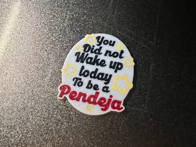 You did not wake up to be a pendeja wall art 
