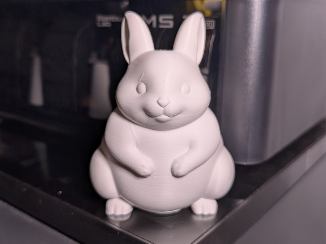 Fat Bunny