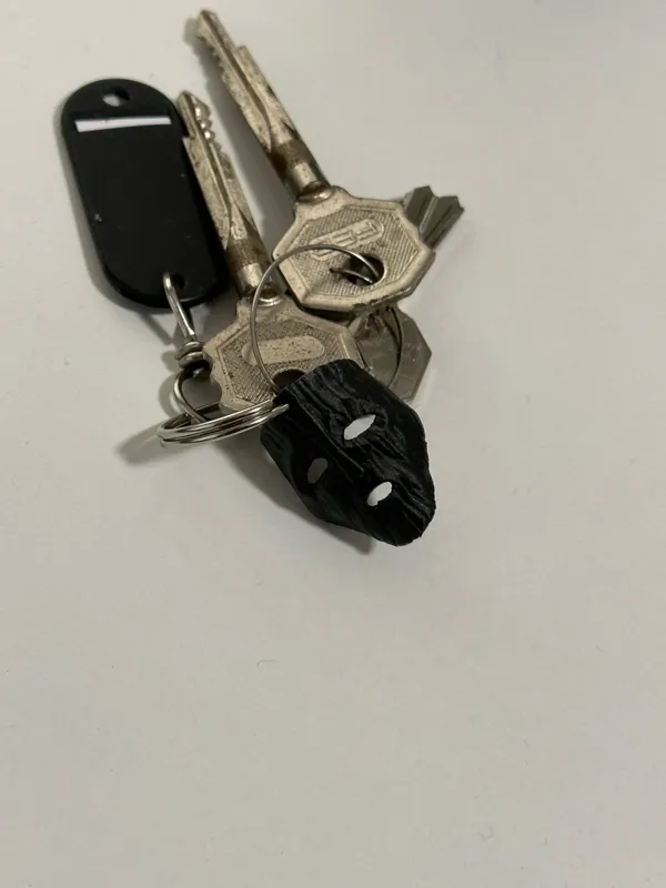 https://makerworld.bblmw.com/makerworld/model/US4fc1c64add1cc5/design/2024-05-05_61c5c7e7f9106.jpeg
