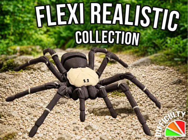 https://makerworld.bblmw.com/makerworld/model/US4fc3b0aad6d4c7/design/da417f9aaa98b27b.jpg