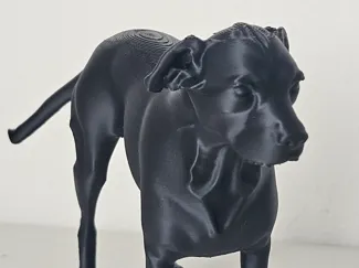 Perro meztizo pitbull