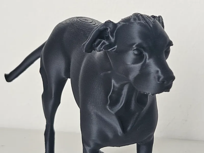 Perro meztizo pitbull