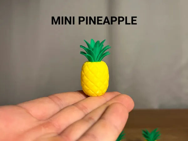 https://makerworld.bblmw.com/makerworld/model/US4fc9668c261164/design/2025-12-08_19e2dd361ca048.jpg