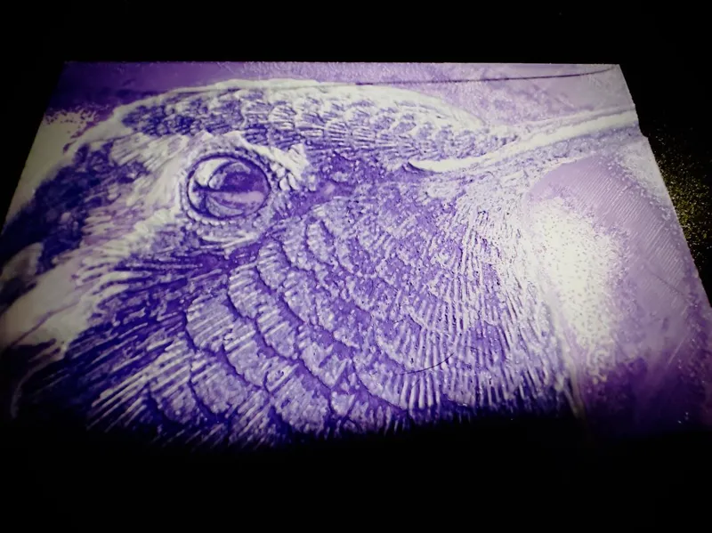 Costa's Hummingbird Hueforge