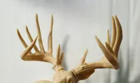 The Gen - BAS Antler Set - 50% Scale