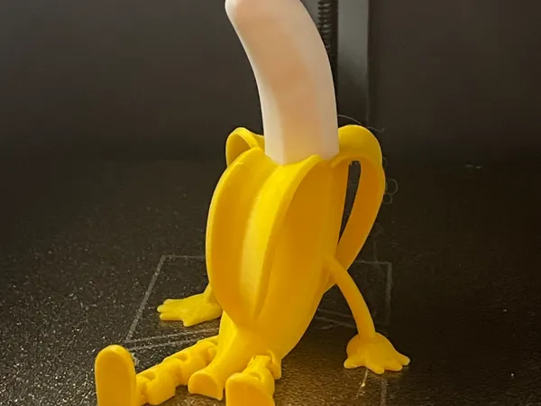https://makerworld.bblmw.com/makerworld/model/US4fccd0cd5718e4/design/2025-05-21_21dd11ce5cc928.jpeg