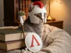 Optional Spartan Gear