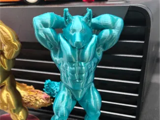 xander - abdominals and thighs