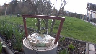 Vogel Dusche / Vogel Tränke