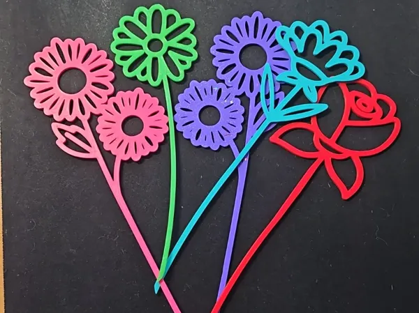 https://makerworld.bblmw.com/makerworld/model/US4fd3af2c00e32a/design/30d33fc5f9523143.jpeg