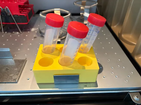 https://makerworld.bblmw.com/makerworld/model/US4fdedb82f914c9/design/2025-06-24_f666baa502abc.jpg