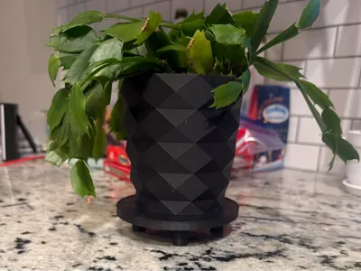 small pot for plants