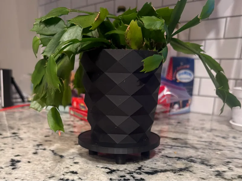 small pot for plants