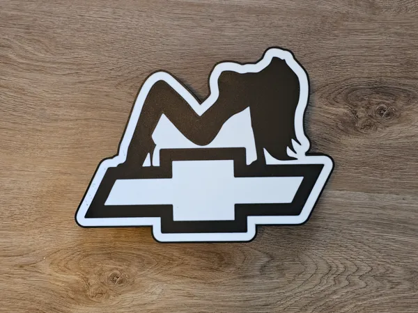 https://makerworld.bblmw.com/makerworld/model/US4fe18c493fd1cc/design/2025-12-12_98dd24dfe700c.jpg