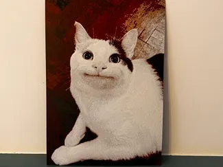 Beluga cat Painting