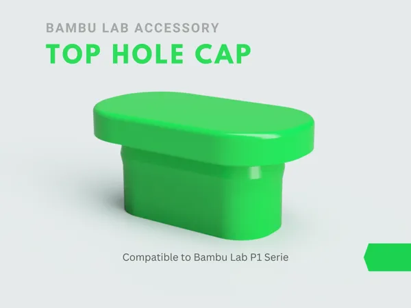 https://makerworld.bblmw.com/makerworld/model/US4fe5431197c00e/design/2025-01-05_e764433c84697.png