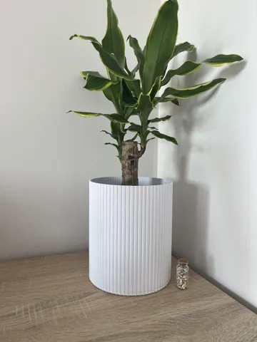 Maceta decorativa: Modern Fluted Planter with Removable Inner Pot — vista de referencia 2