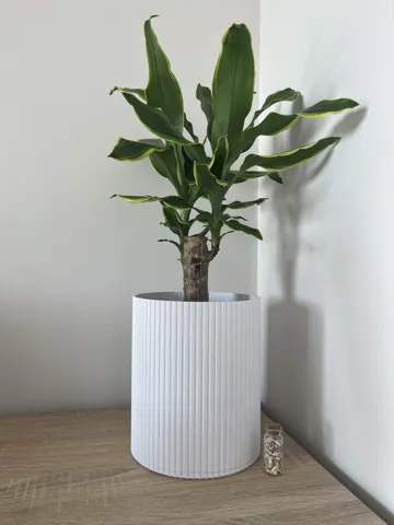Maceta decorativa: Modern Fluted Planter with Removable Inner Pot — vista de referencia 4