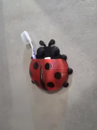 ladybird 2 color