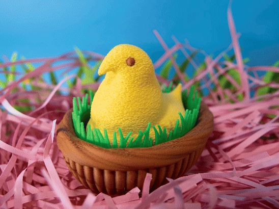 Easter Clicker Fidget Toy - Inspired by Peeps