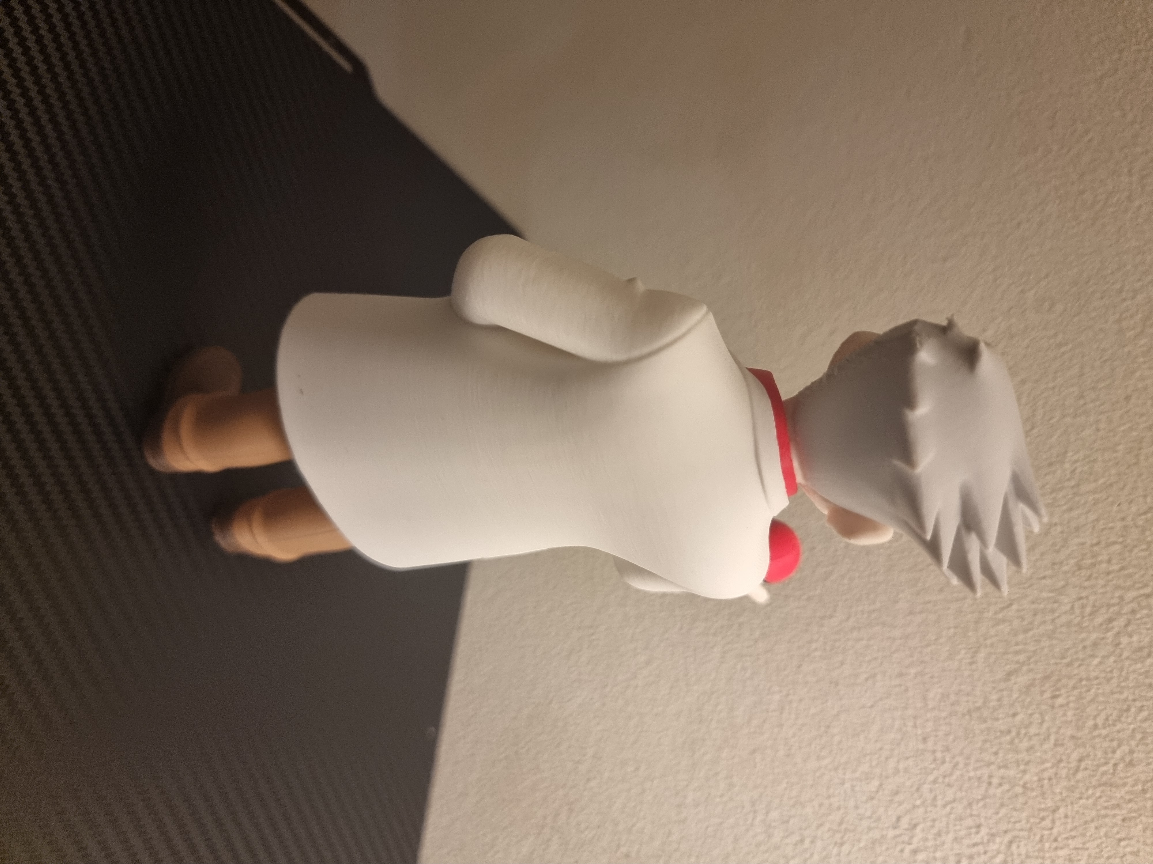 Foto 7