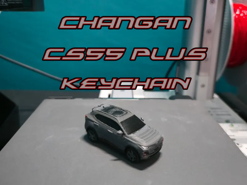 Changan CS55 Plus Keychain (PIP WW)