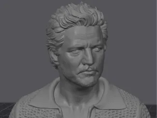 Pedro Pascal Bust