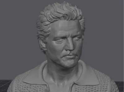 Pedro Pascal Bust