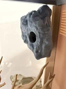Modelo para impresión 3D: Magnetic Rock Jumping Spider Hide — vista de referencia 3