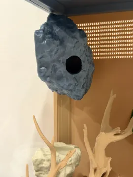 Modelo para impresión 3D: Magnetic Rock Jumping Spider Hide — vista de referencia 5