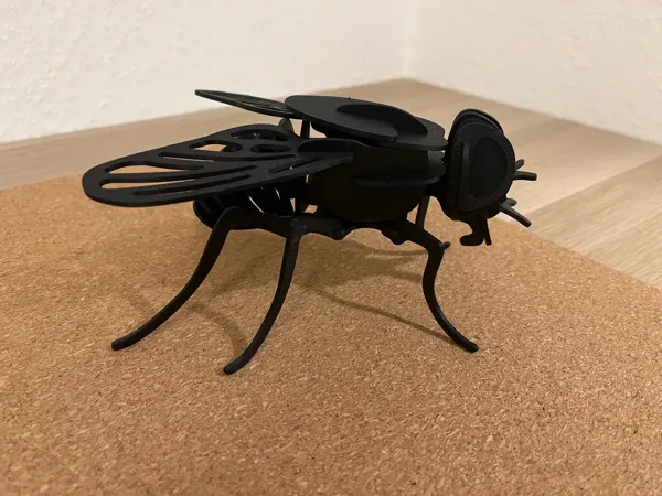 https://makerworld.bblmw.com/makerworld/model/US4ffadd09300e67/design/2025-01-12_09bd35afca034.jpg