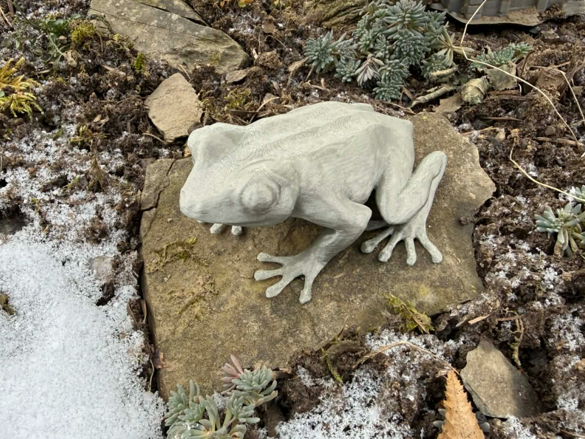 Realistic sitting frog