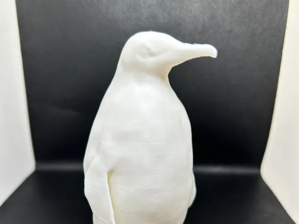 https://makerworld.bblmw.com/makerworld/model/US50052934b19892/design/2024-12-28_5fccdbc4b0a06.jpeg