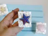 Starfish clicker