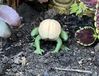 Créature étrange Froggicus Mentis — photo 3