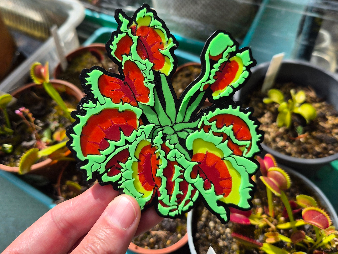Venus Flytrap "Zipp", Carnivorous Plant Magnet
