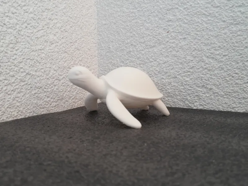 Minimalistische Schildkröte