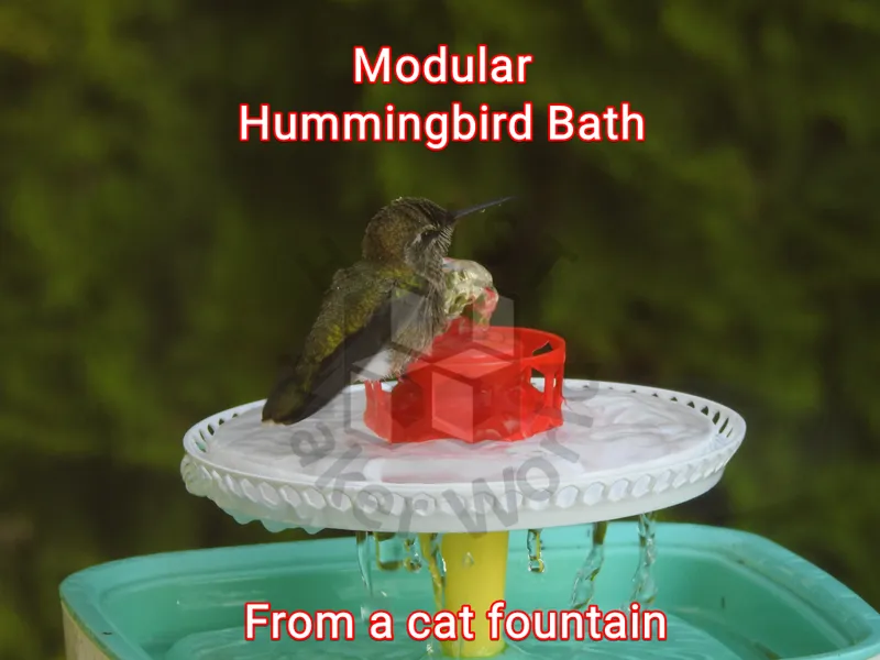 Modular Hummingbird Bath
