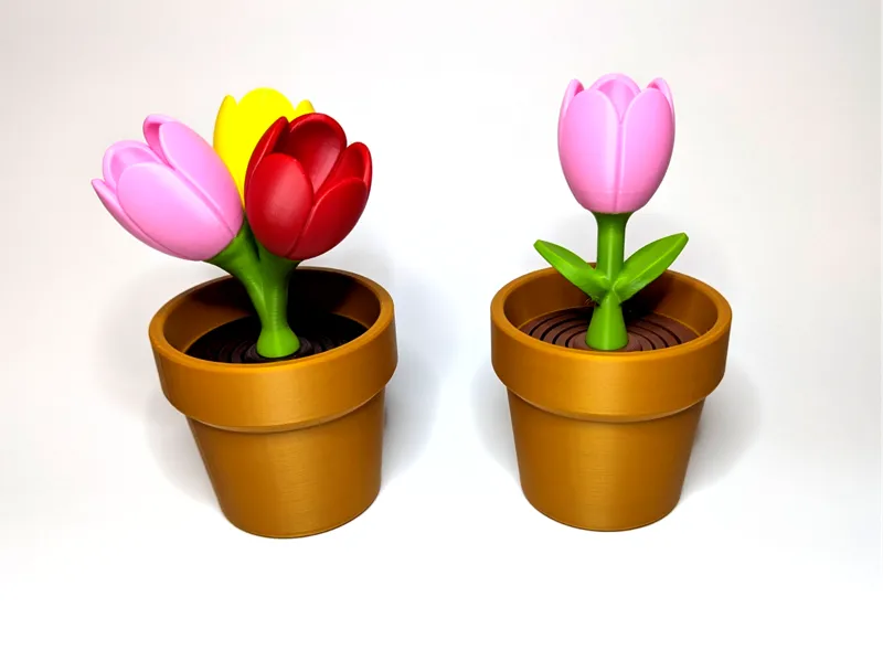 Tulip - Springy Flower Collection