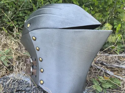 Frogmouth Helmet