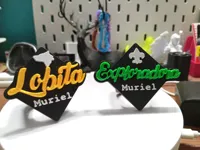 Exploradora