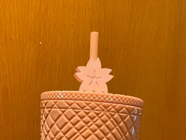 https://makerworld.bblmw.com/makerworld/model/US501a14987c7a67/design/2024-12-04_7d2cb038a8f7f.jpg