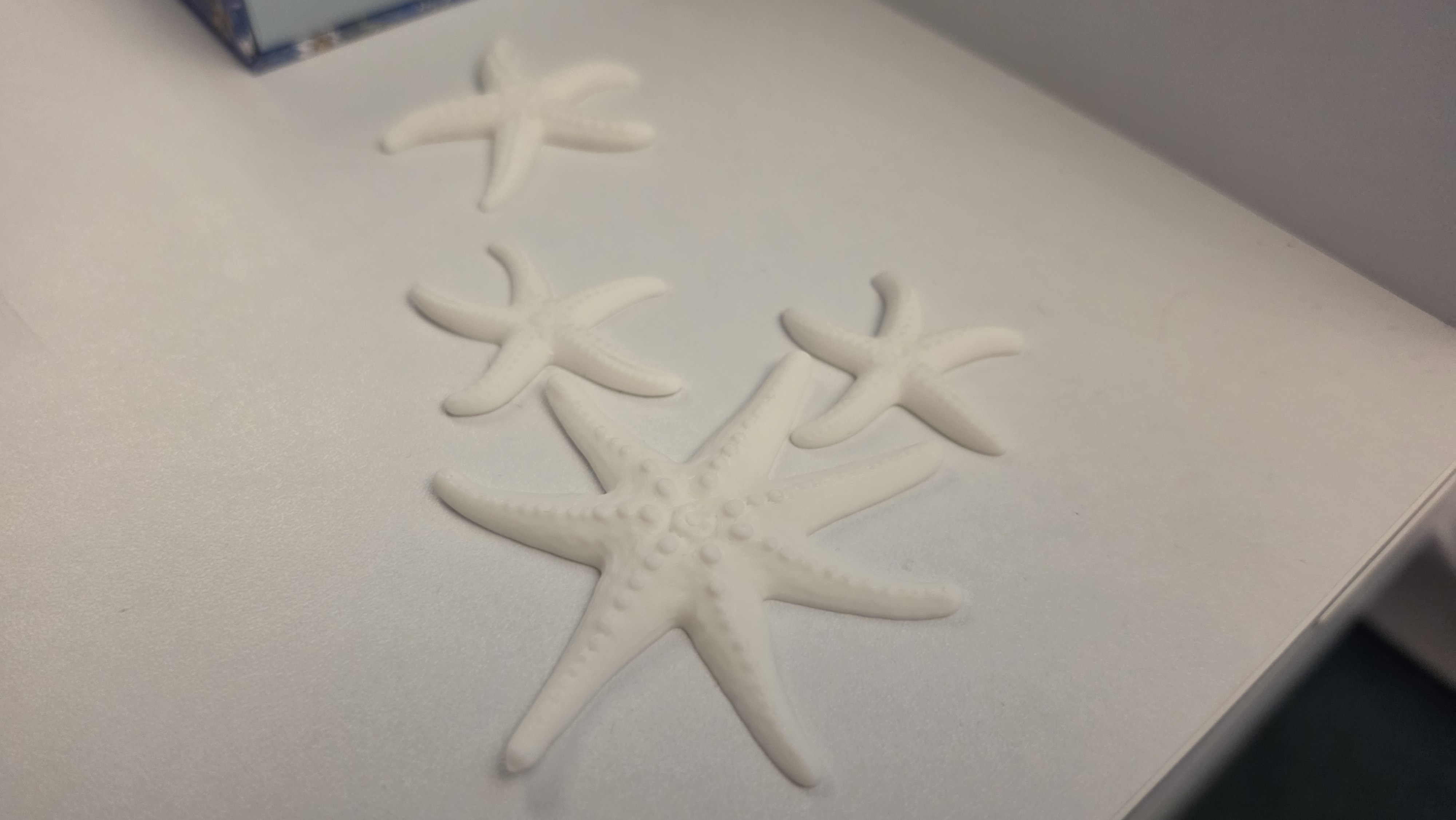 Miniatura 2 do modelo 3D STARFISH