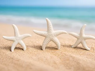 STARFISH